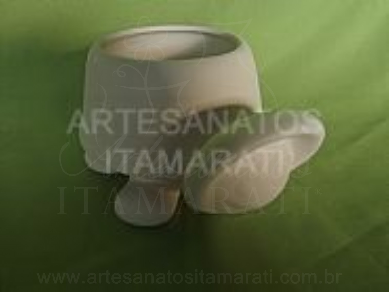 Tartaruga Porta Violeta